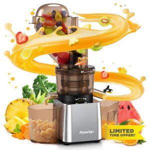 Commercial 300W Cold Press Juicer Machines - Dual Outlet for Juice & Pulp