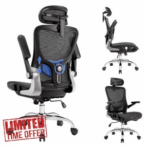 Ergonomic Office Chair，Mesh Seat Cushion with 3D Armrests and 3D Headrest