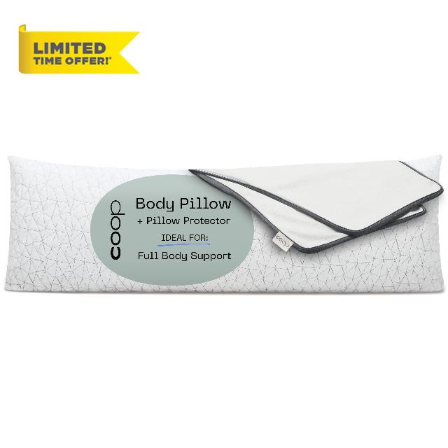 Coop Home Goods Original Adjustable Body Pillow (20x54) and Ultra-Tech Waterproof Pillow Protector Bundle for Pregnancy