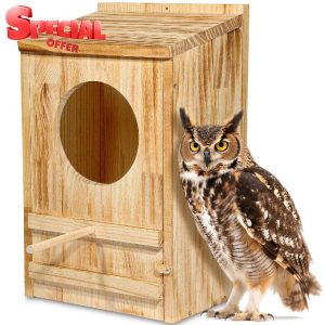 ONKO Large Great Horned Owl House