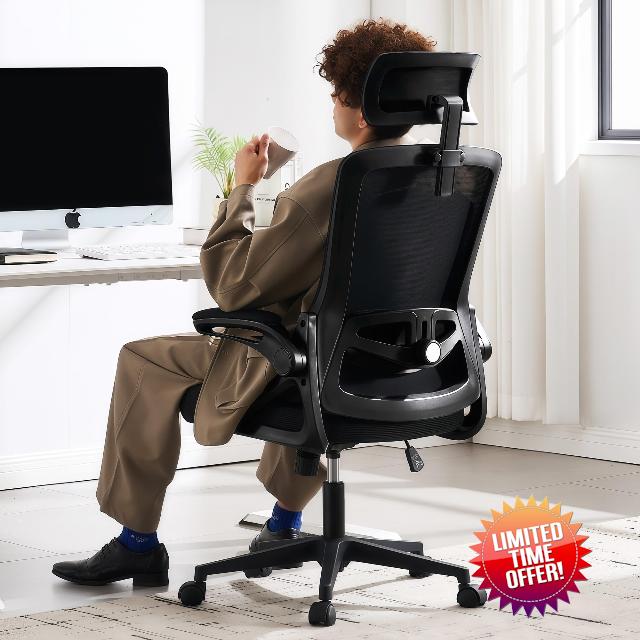 Ergonomic Office Chair