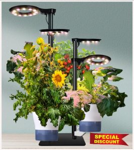 Indoor Plant Hydroponics Growing System Tower Kit with Grow light