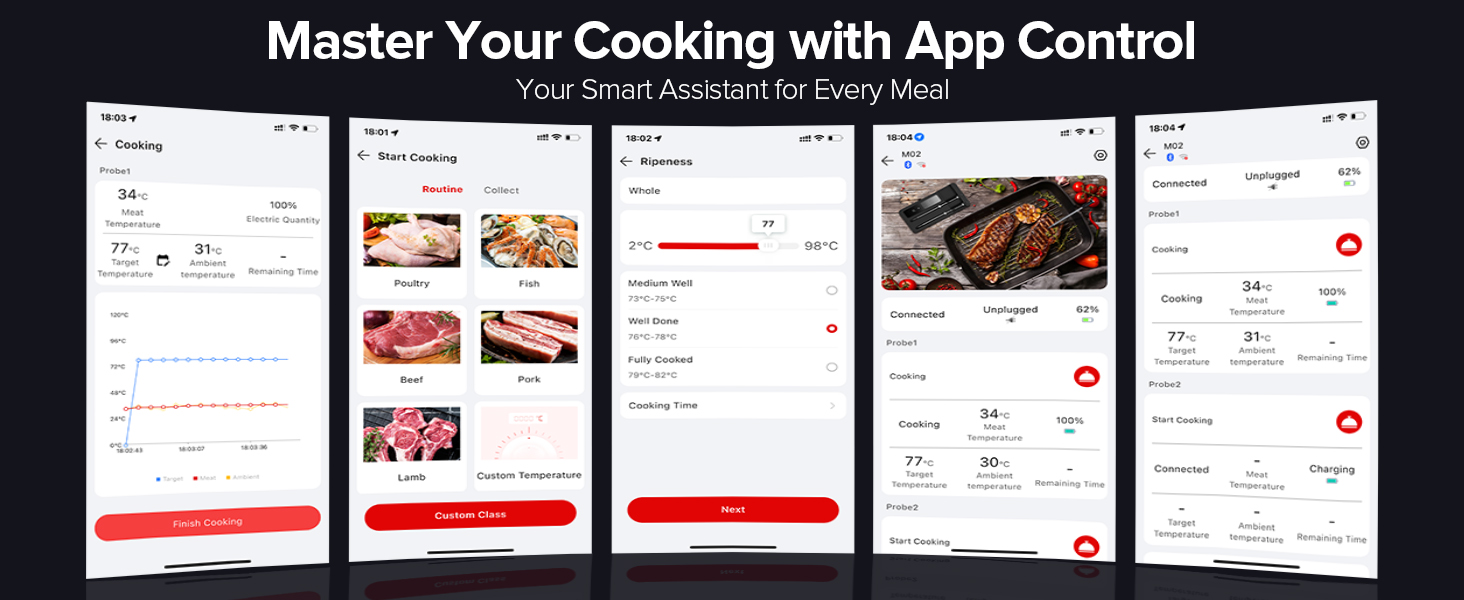 Wireless Meat Thermometer
