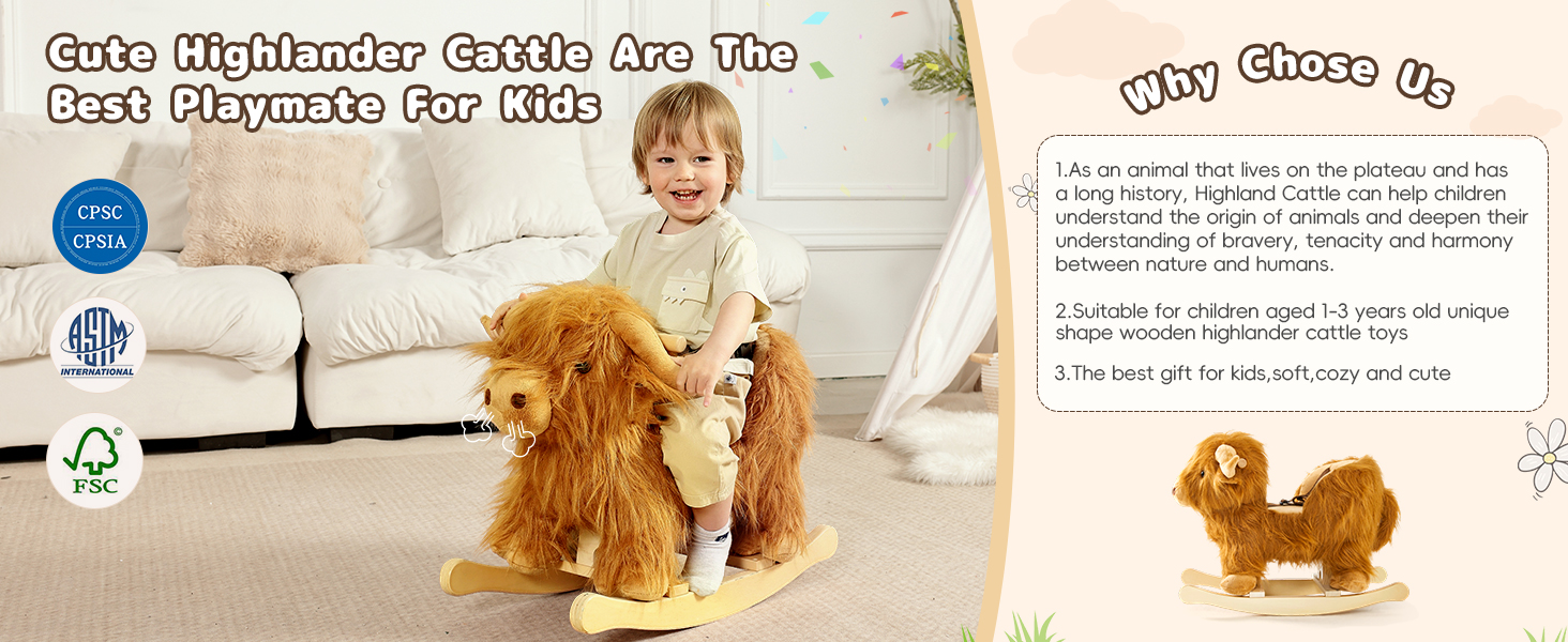 Cute Highlander Cattle Are The Best Playmate For Kids