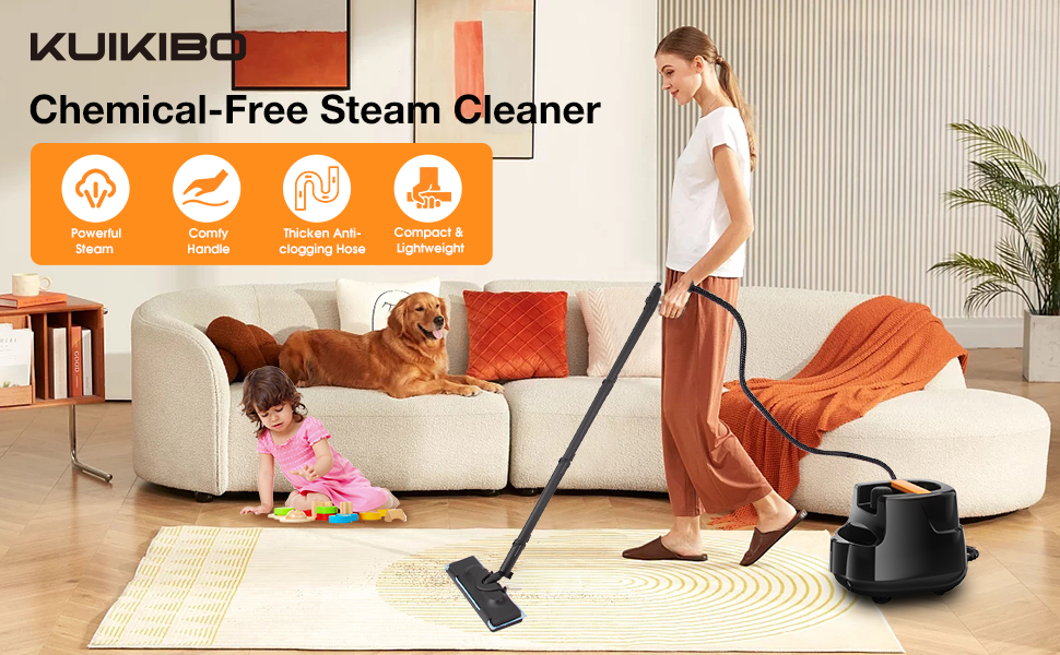 steam cleaner