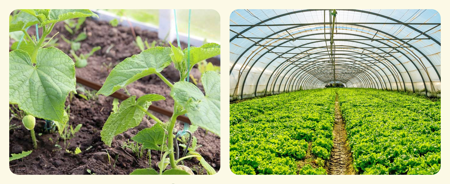 1/4 drip irrigation tubing