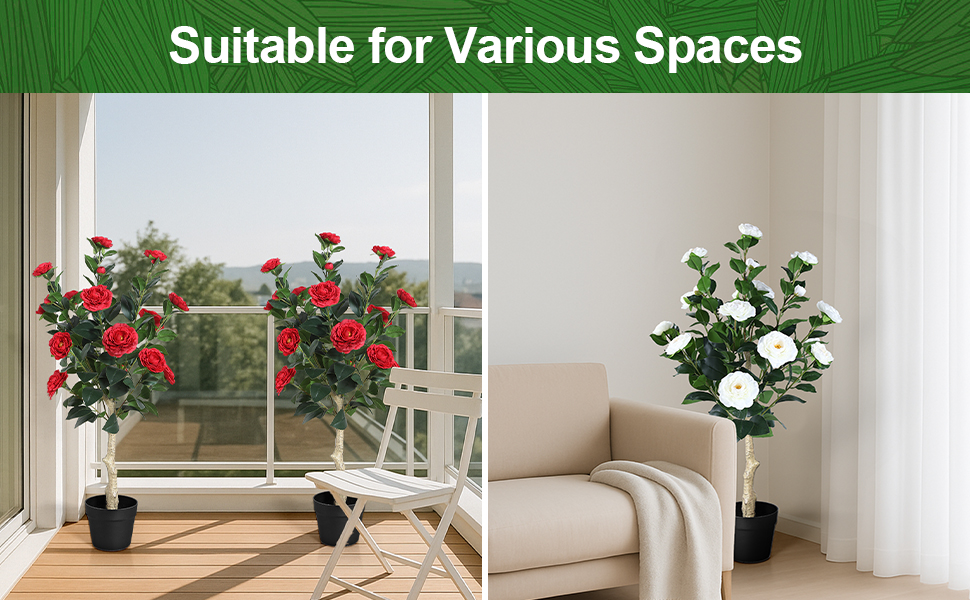 floral plant for indoor outdoor