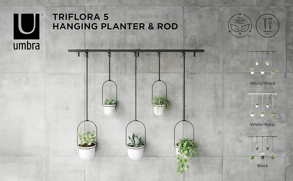 triflora hanging planter
