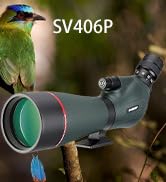 scope