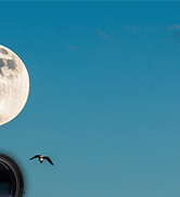 Spotting Scope