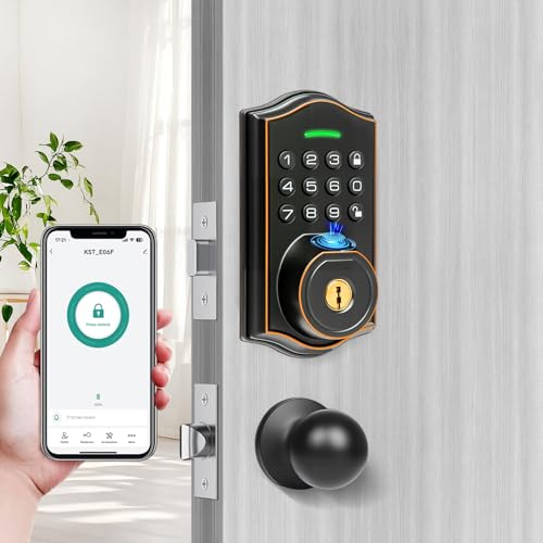 Smart Locks for Front Door