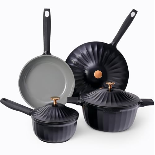 Non Toxic PFAS-Free Compatible with All Stovetops–Jet Black
