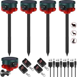 13 Kinds of Sounds (Red)