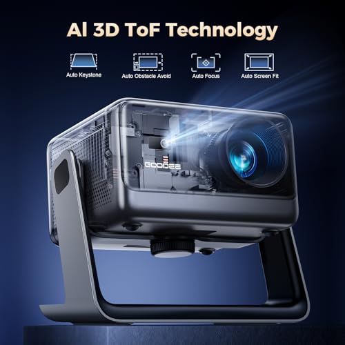 4k Video Decode & 1080p Native For Home Theater / Outdoor