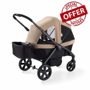 Graco Ready2Roll Stroller Wagon - All-Terrain Stroller Wagon for 2 Kids