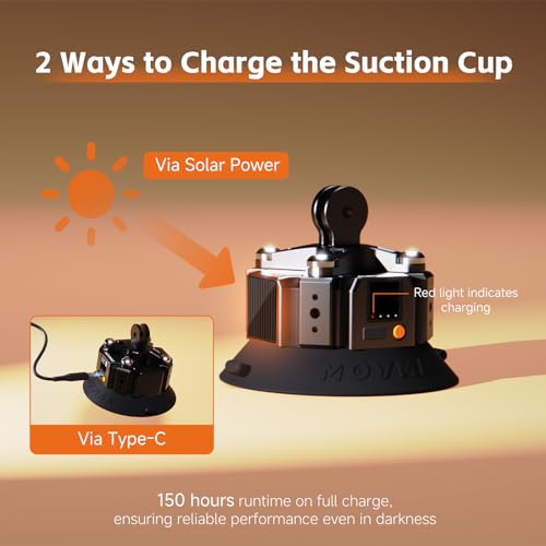 Solar-Powered/Auto Pressure Detection/LCD Display