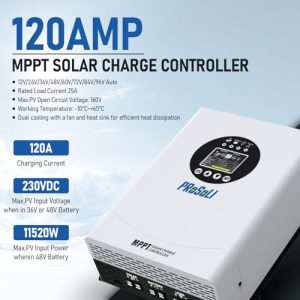 Max PV Input 230V