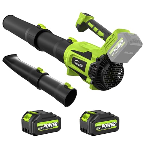 WOKEGI 21V 2 x 4.0Ah Batteries and Fast Charger