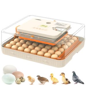 Egg Candler