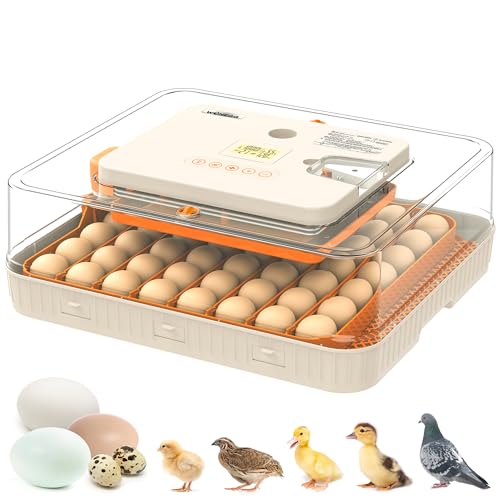 Egg Candler
