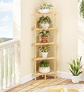 corner shelf