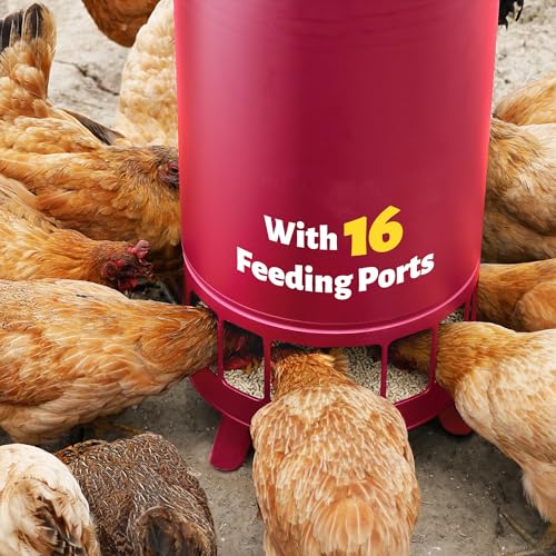 16 Feeding Ports Poultry Feeder