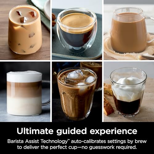 Cold Brew