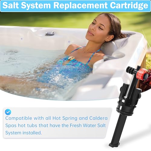 Salt System Cartridge (1-Pack)