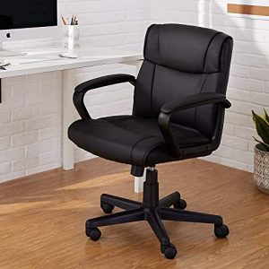 Adjustable Height/Tilt