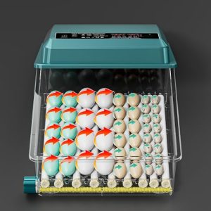 Digital Humidity Control with Auto Flip