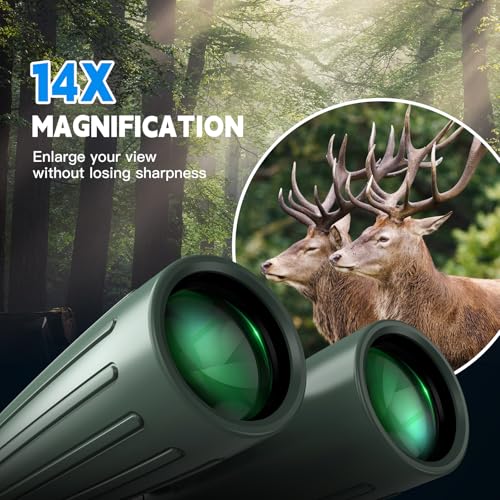 Professional HD Binoculars for Bird Watching