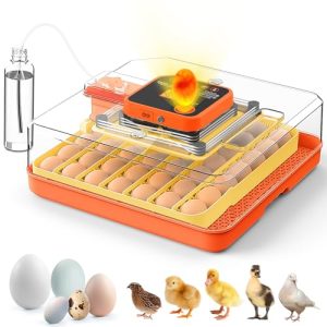 Smart Egg Incubator with Automatic Egg Turning