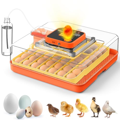 Smart Egg Incubator with Automatic Egg Turning