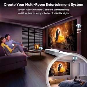 Dual Display HDMI Wireless Extender Kit Sync to 2 Screens