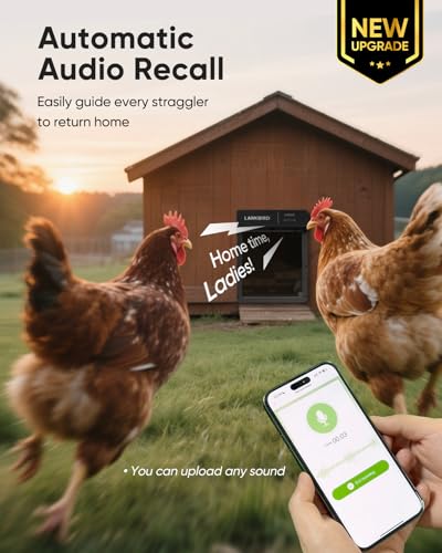 App Control Chicken Door with Anti-Pinch System (Gray)