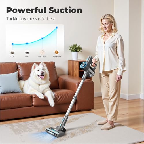 Rechargeable Vacuum for Carpet