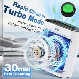 True HEPA Air Cleaner with Washable Pre-Filter