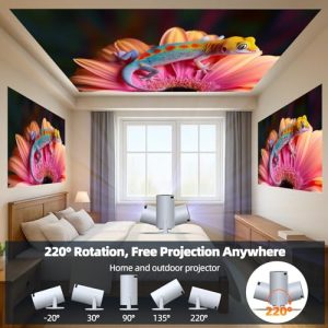 Mini Projector