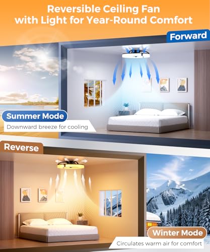 Dimmable 3000K–6500K LED
