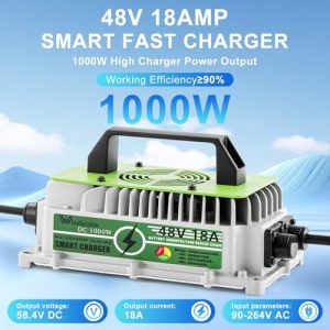 1000W Fast Charger for 48V (51.2V) LiFePO4 Battery