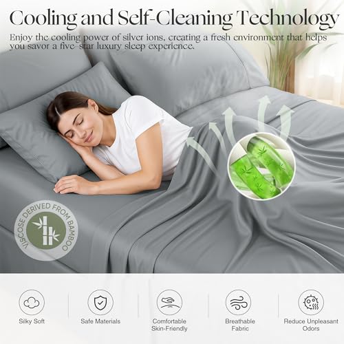 Breathable and Soft Queen Sheet Set (Gray