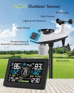 Thermometer with Rain Gauge and Wind Speed/Direction