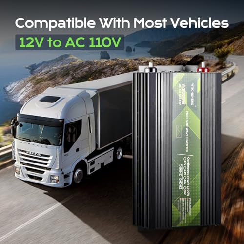 12V DC to 110V AC Converter for Ry