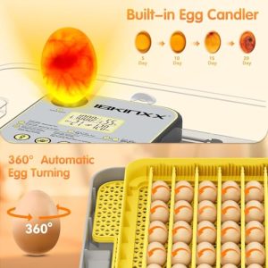 Auto Egg Turner & New Auto Precision Humidity Control System