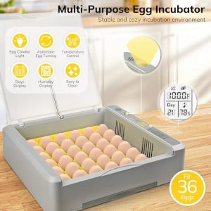 Chicken Egg Incubator with Digital Display