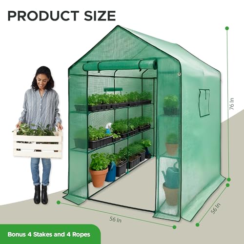 Plant House with Roll-up Zipper Door