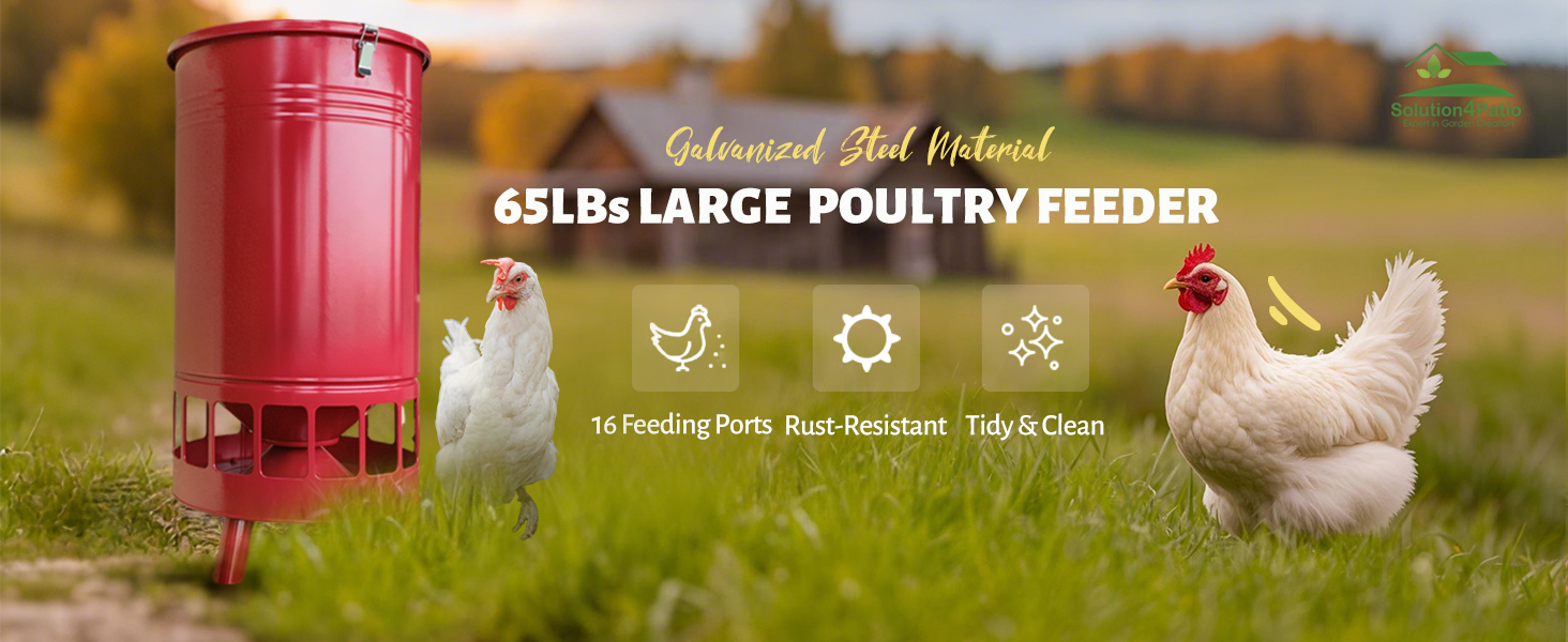 chicken feeder