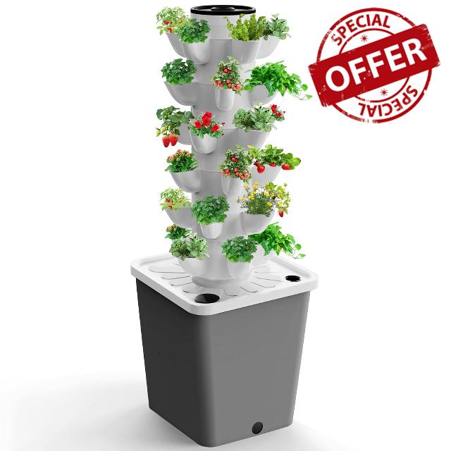 Hydroponics Growing System Kit
