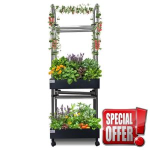 Upgraded Hydroponics Growing System