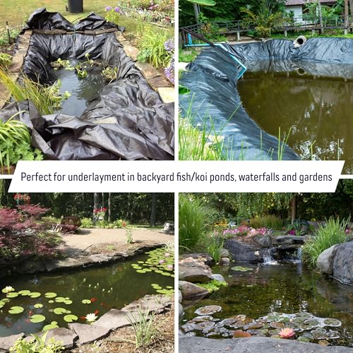 Koi Fish Ponds